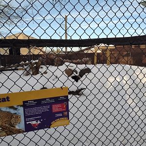North America- Bobcat habitat