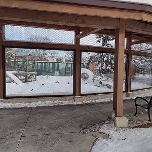 Black Bear Exhibit- Glass-viewing Structure