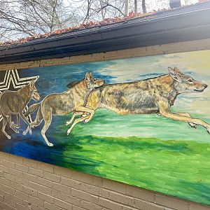 Red Wolf Mural