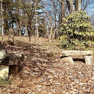 Path back to the parking lot