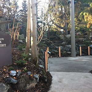 Canada Lynx Exhibit (New addition in late 2022)