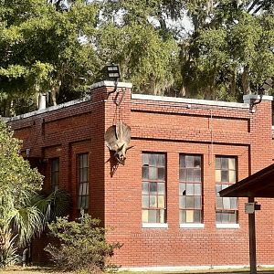 Last Triceratops taken in South Carolina