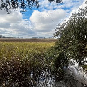 View of the Marsh