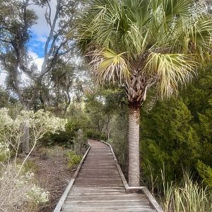 Boardwalk through the park