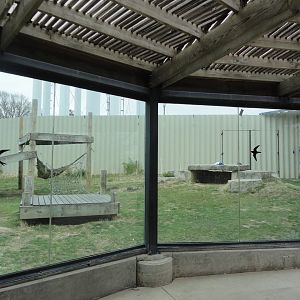 Chimpanzee Exhibit Right Side