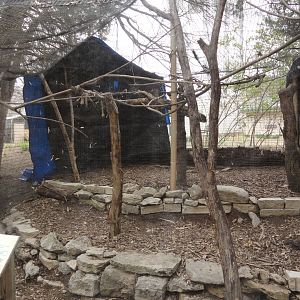 Violet Turaco Exhibit