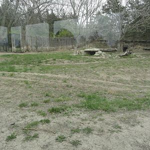 Cheetah Exhibit from Lower Viewing