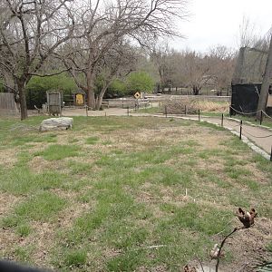 Australian Walkabout - Red-necked Wallaby & Emu