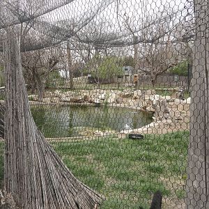 Australian Aviary within Walkabout