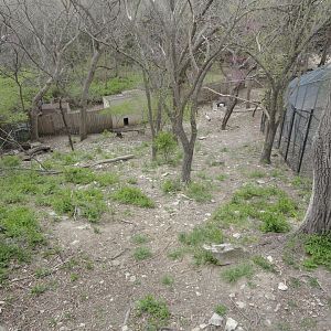 Tufted Deer & Red Crowned Crane Exhibit