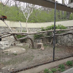 Red Panda Exhibit