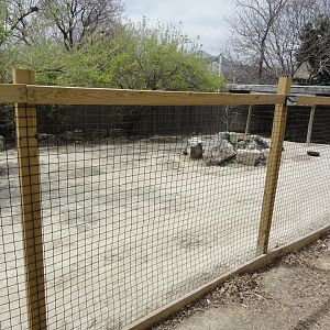Chacoan Peccary Exhibit