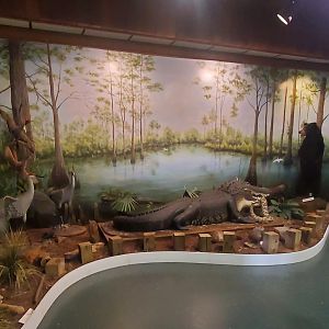 Calusa Nature Center - Wetlands display