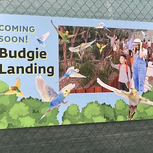 Coming soon: Budgie Landing