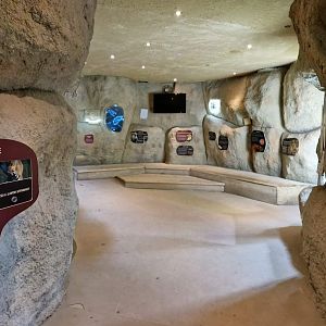 African Lion indoor area