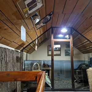 Edible dormouse exhibit