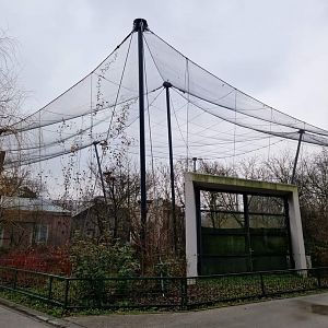 African birds/Dik-Dik Aviary