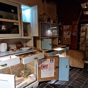 Rodents exhibits inside the locker