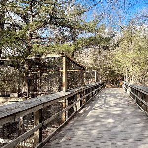 Owl and Raptor Exhibits
