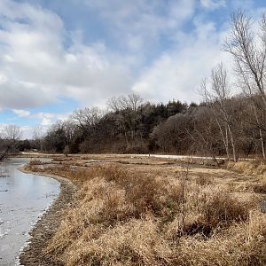 Crane and Swan Exhibit