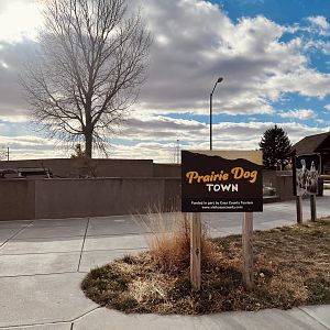 Prairie Dog Exhibit