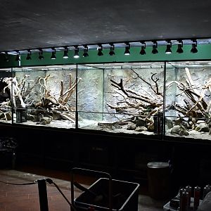 New paludariums at Reptopia