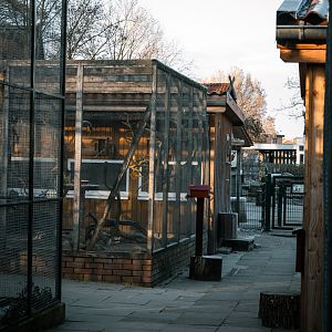 View on Australia aviary
