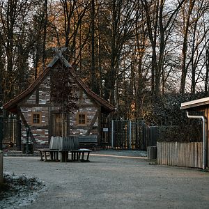 General view farm animals