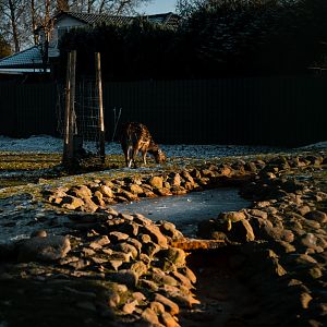 Asia enclosure middle part