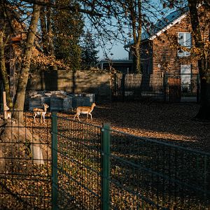 Asia enclosure back part