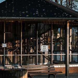 Lemur outdoor enclosure