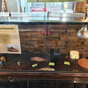 Terrarium in the entrance building