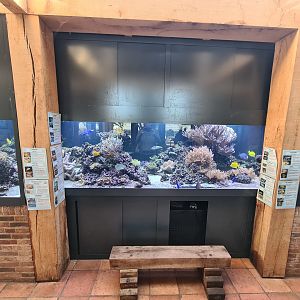 Large saltwater tank in the entrance building