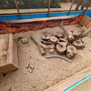 Second greenhouse - Meerkat enclosure