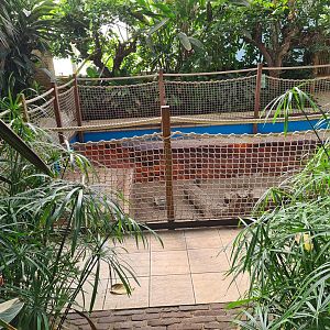 Second greenhouse - Meerkat enclosure