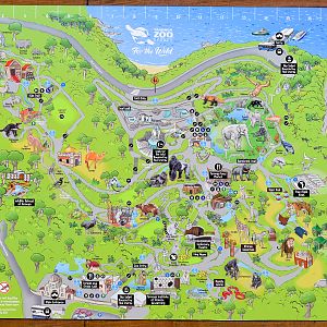 Zoo Map
