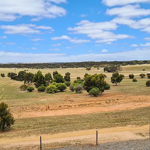 View from the visitors centre viewing platform