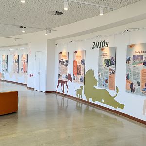 History of Monarto Safari Park