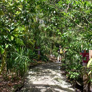 Australian Rainforest Aviary - interior