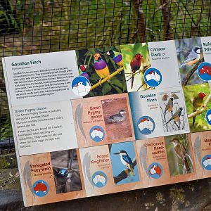 Australian Finch Aviary