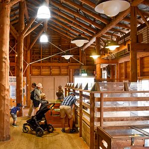 Backyard to Bush - Shearing Shed