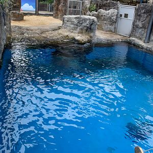 Great Southern Oceans - Seal Harbour