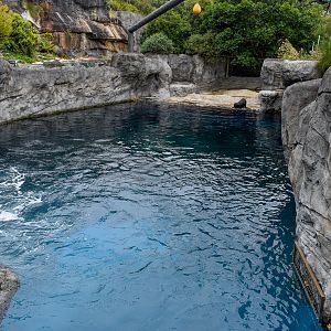 Great Southern Oceans - Seal Harbour