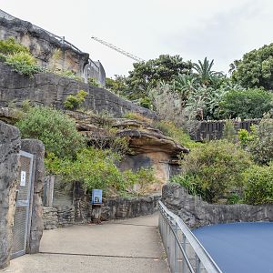 Great Southern Oceans - General View
