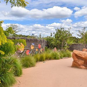 African Savannah - Pathway between Meerkat Enclosures