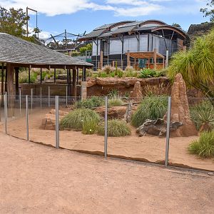 African Savannah - Second Meerkat Enclosure