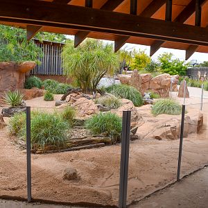African Savannah - Second Meerkat Enclosure