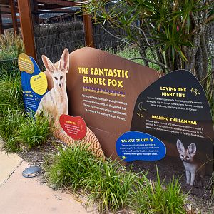 African Savannah - Fennec Fox Signage