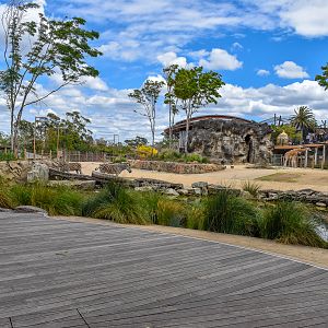 African Savannah - Giraffe/Zebra Enclosure