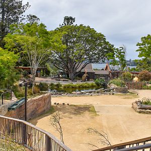 African Savannah - Giraffe/Zebra Enclosure